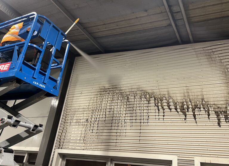 Structural Washdowns